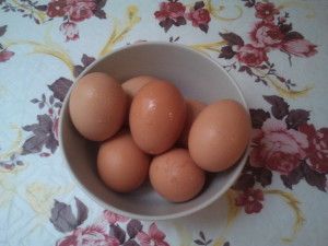 huevos ecologicos