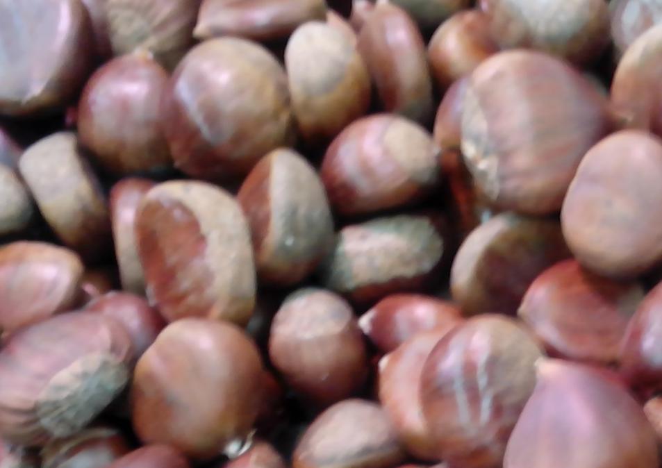 mermelada de castañas