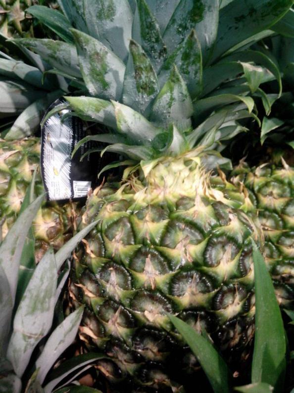mermelada de piña
