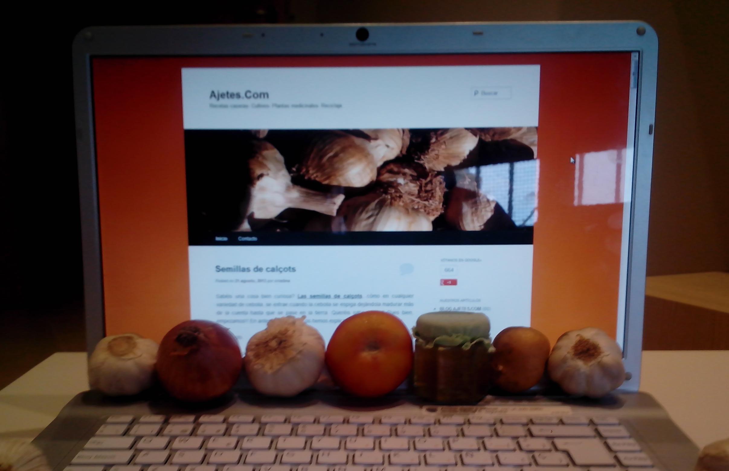 web ajetes