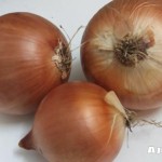 mermelada de cebolla