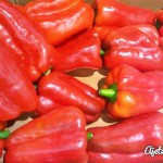 mermelada de pimientos