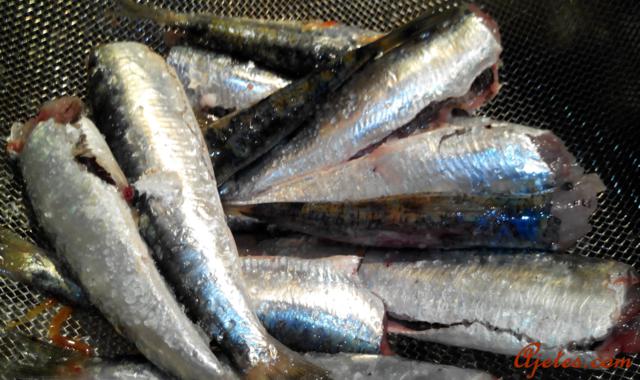sardinas al horno