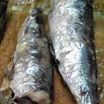 sardinas horno